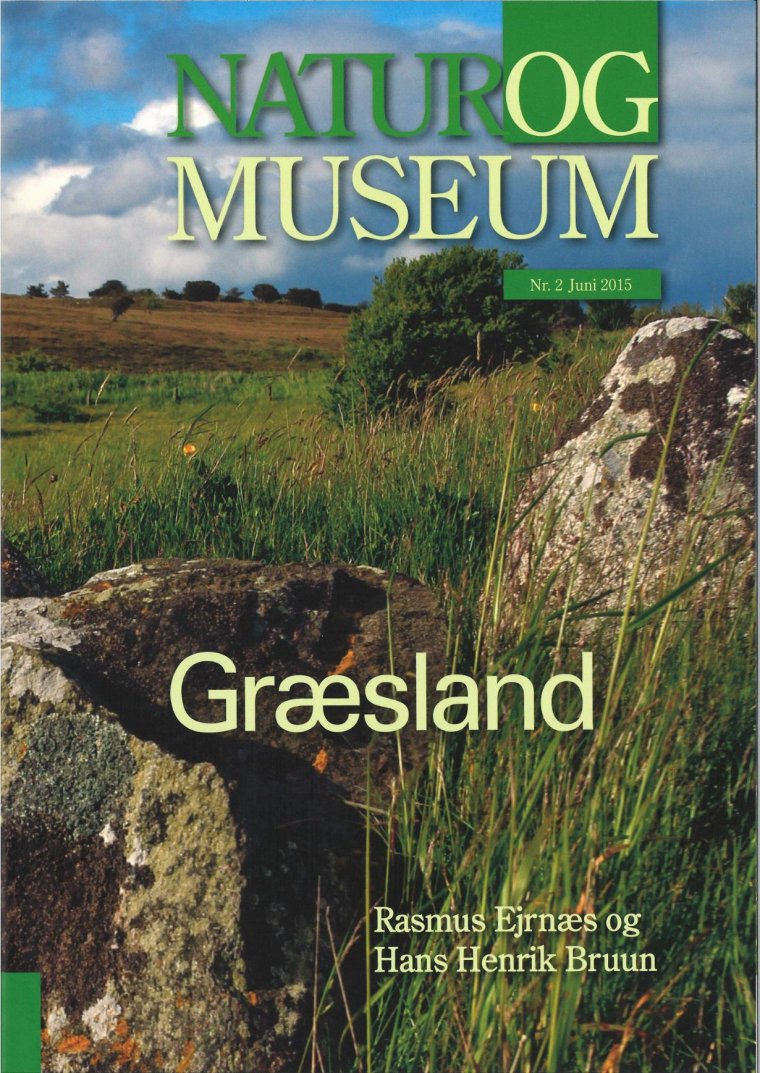 Græsland